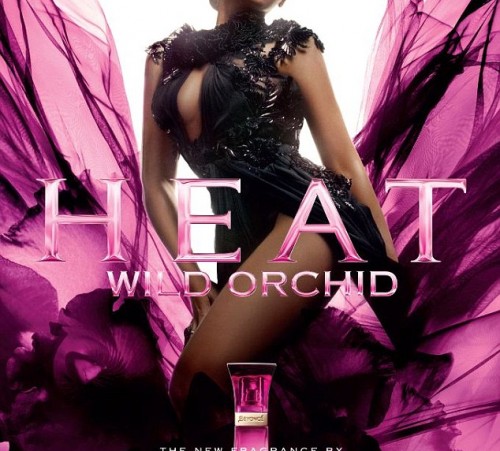 beyonce wild orchid