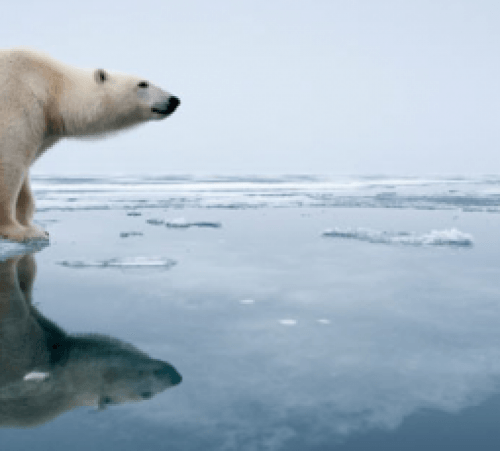 3052_waters-edge_1786282i_1_460x230