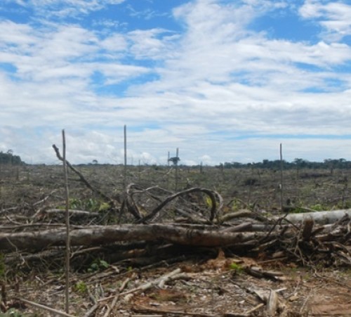 0e50b4a0-2772-46ce-8ce1-eb0746eec917-620x372