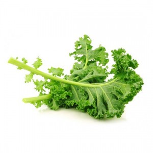 19EDED3B-3FDE-E411-82EA-027C562AF71E-540