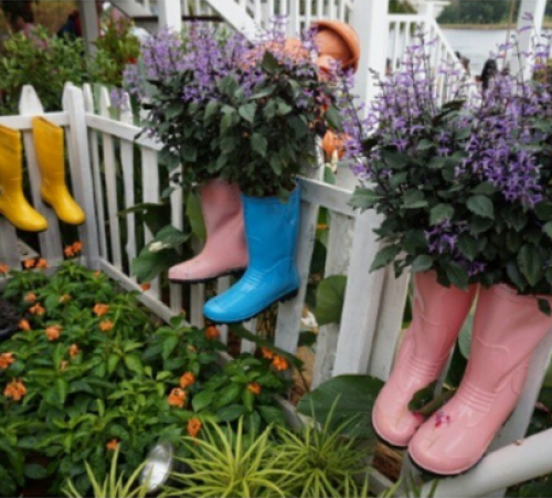 screenshot-instagram.com 2015-06-08 11-39-25