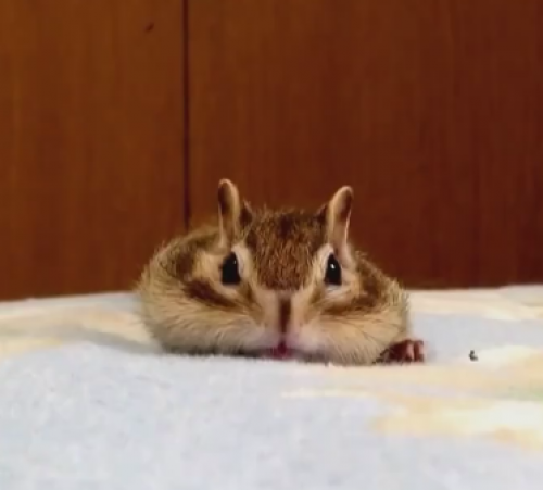 screenshot-www.facebook.com 2015-06-13 22-44-35