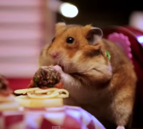 screenshot-www.youtube.com 2015-06-05 09-55-43