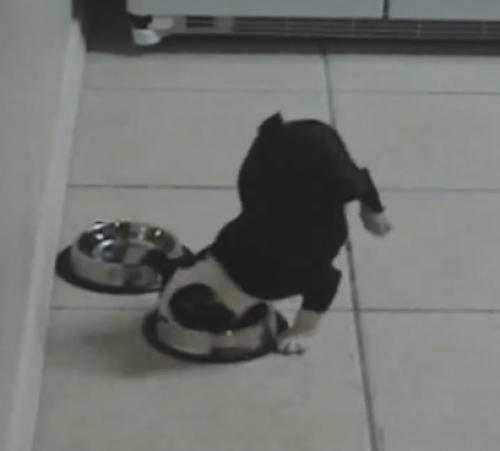 screenshot-www.facebook.com 2015-07-08 22-57-55