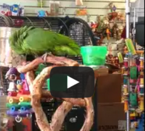 screenshot-sykur.kvennabladid.is 2015-07-31 01-12-24