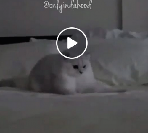 screenshot-sykur.kvennabladid.is 2015-07-25 00-25-24