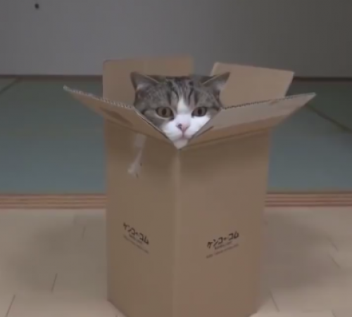 screenshot-www.facebook.com 2015-07-22 18-28-17