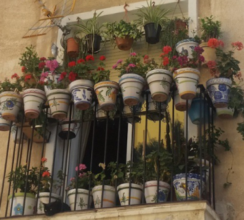 screenshot-www.gramfeed.com 2015-07-17 13-36-31