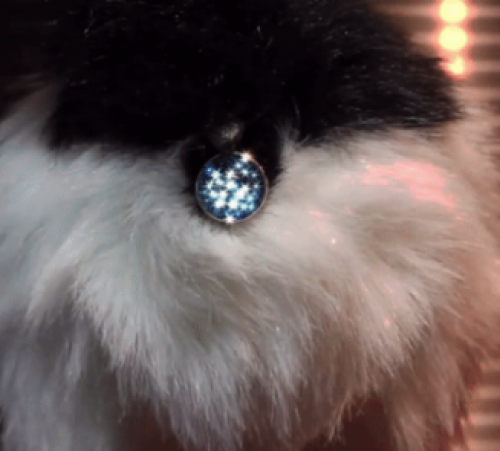 screenshot-mashable.com 2015-07-15 20-39-27