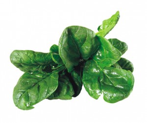 spinach-9
