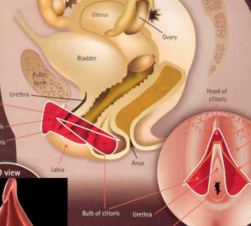 screenshot-www.facebook.com 2015-07-31 11-07-40