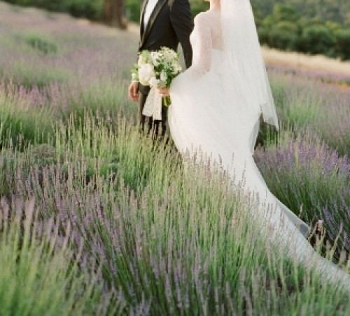 ddde3de6418ec4a1c3e9184424301ade (400x293)