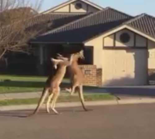 screenshot-www.facebook.com 2015-07-20 22-24-29