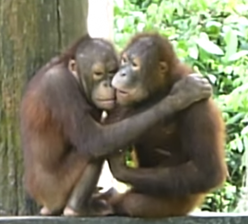 screenshot-www.youtube.com 2015-07-19 14-08-26