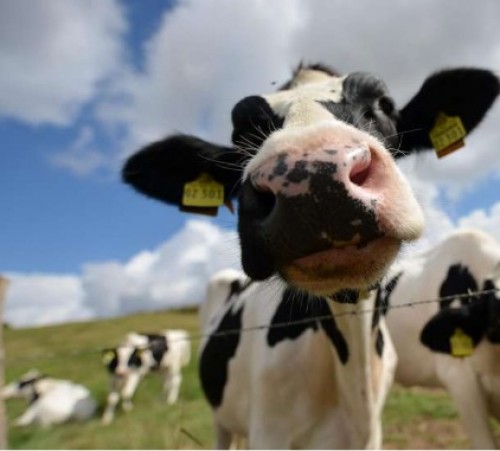 screenshot-www.framtidinord.no 2015-08-21 09-50-23