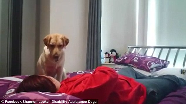 2BB3204600000578-3212594-The_video_which_has_had_three_million_views_since_it_was_shared_-a-21_1440669787957