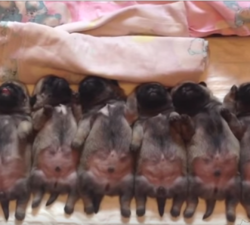 screenshot-www.youtube.com 2015-08-05 15-02-41