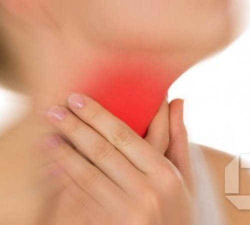 m_shutterstock_146526803