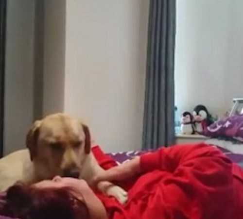 screenshot-www.dailymail.co.uk 2015-08-27 21-39-50