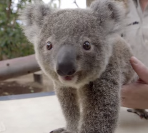 screenshot-www.youtube.com 2015-08-01 19-53-22