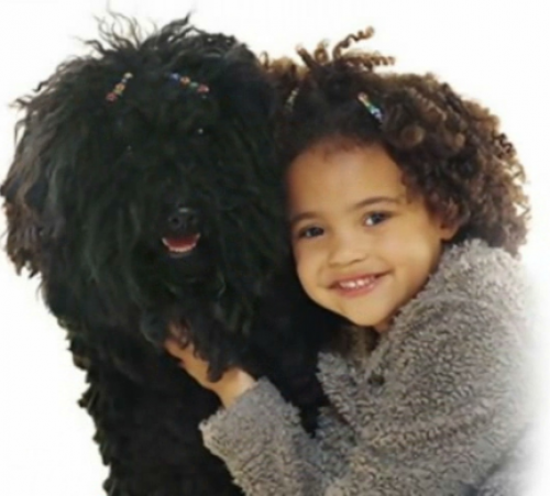 screenshot-lonerwolf.com 2015-08-07 12-07-20