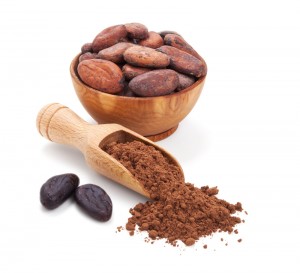 cacao-powder-beans-800px-pic2