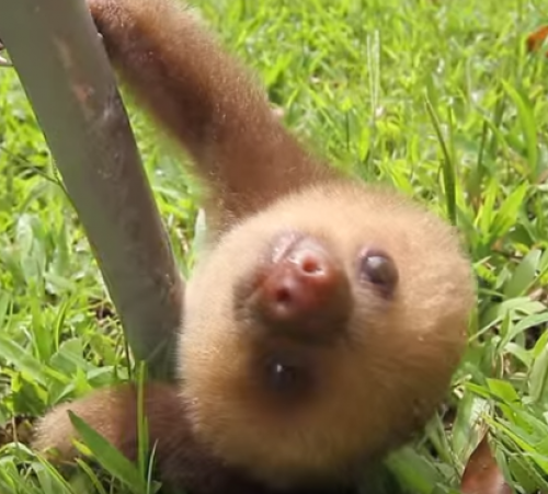 screenshot-www.youtube.com 2015-08-14 15-50-48