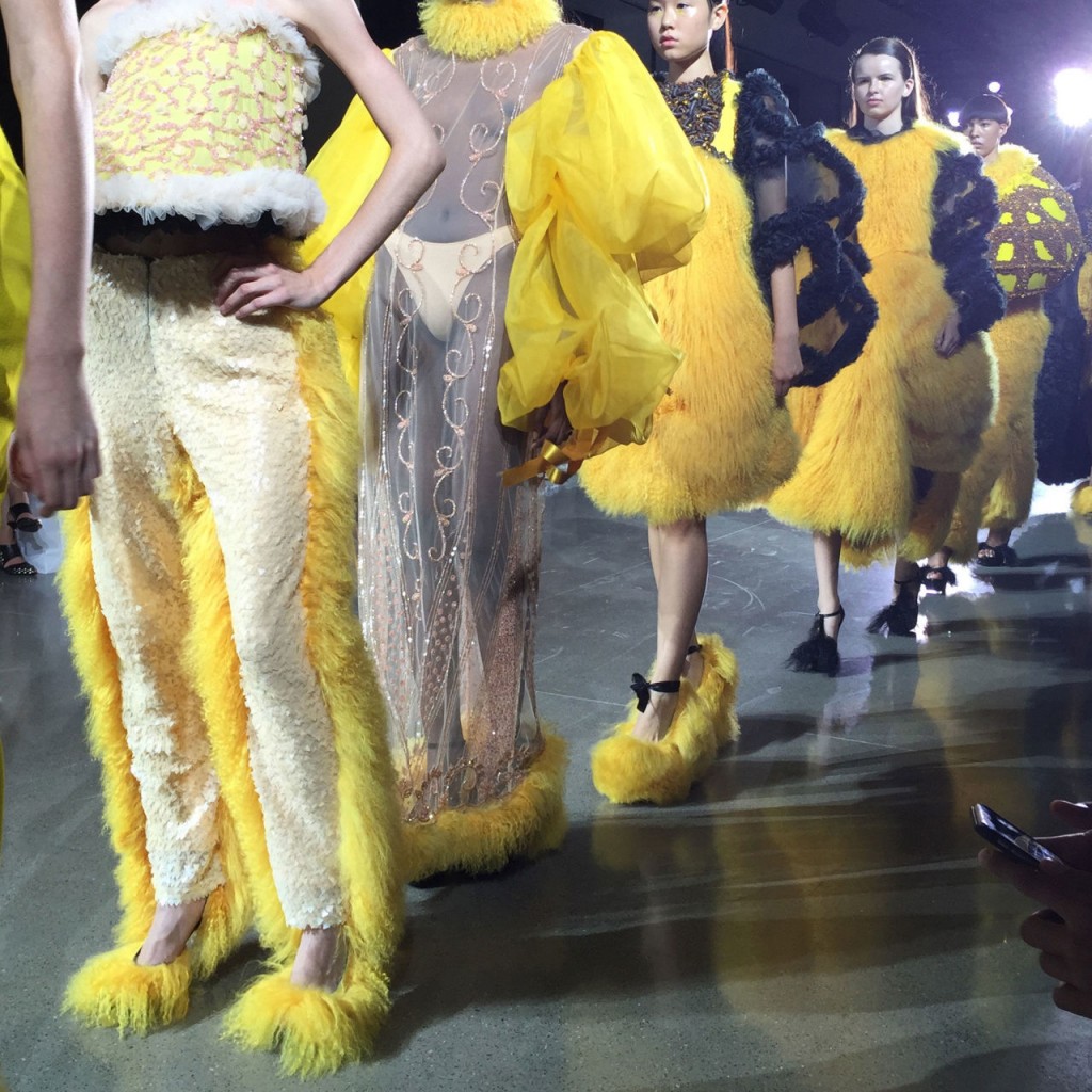 gallery-1441854309-img-8631