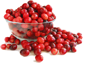 cranberry-bowl