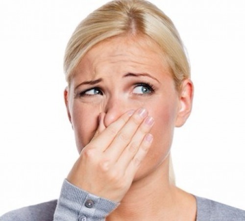 screenshot-sendajart.com 2015-09-26 15-01-29