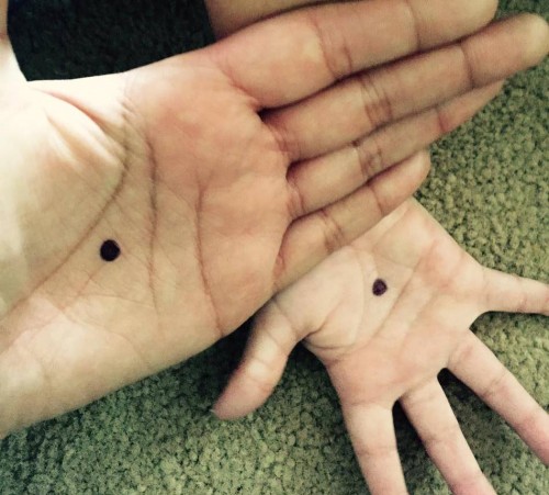 11249638_1487075358255167_7342007251215700297_n