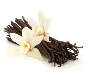 Vanilla-Bean-and-Orchid