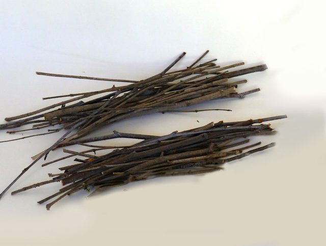 0356f4b0-5eb3-4f88-99d5-b3dd6c7a6fee