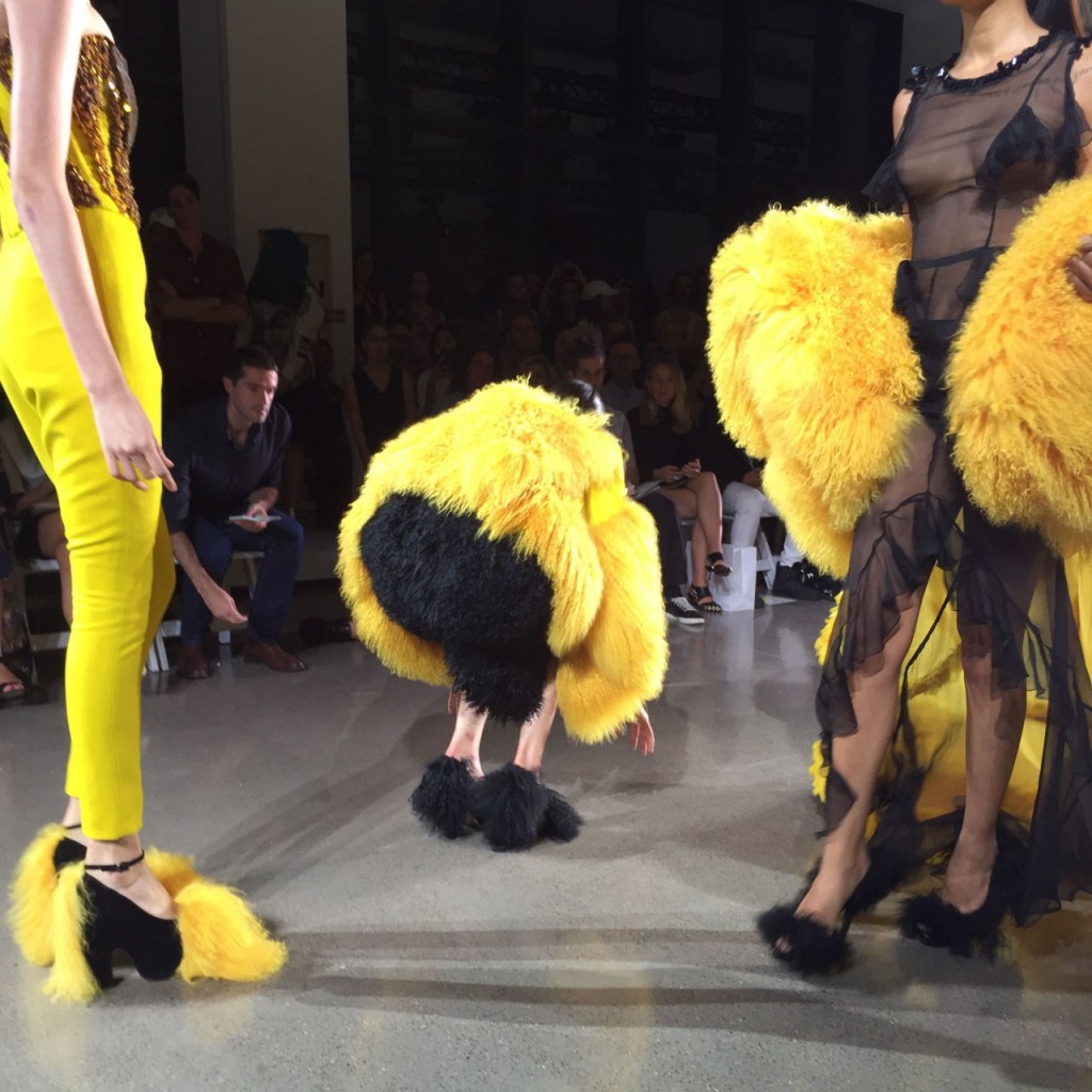 gallery-1441857825-img-8548