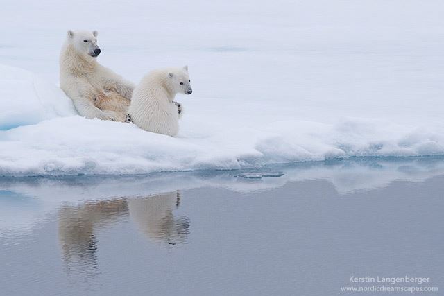 970028_634556299889647_1625605569_n