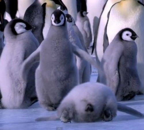 screenshot-wordlesstech.com 2015-09-10 09-12-05