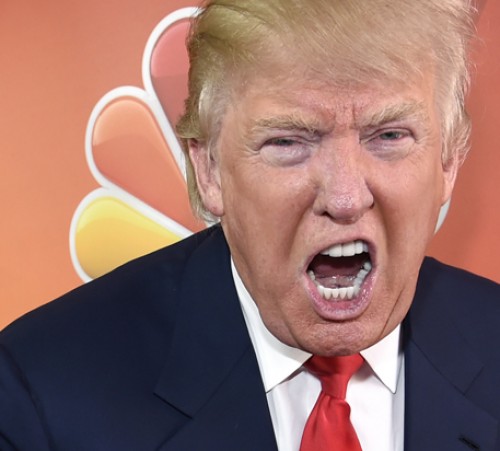 Donald Trump, host of the television series "The Celebrity Apprentice," mugs for photographers at the NBC 2015 Winter TCA Press Tour at The Langham Huntington Hotel on Friday, Jan. 16, 2015, in Pasadena, Calif. (Photo by Chris Pizzello/Invision/AP)