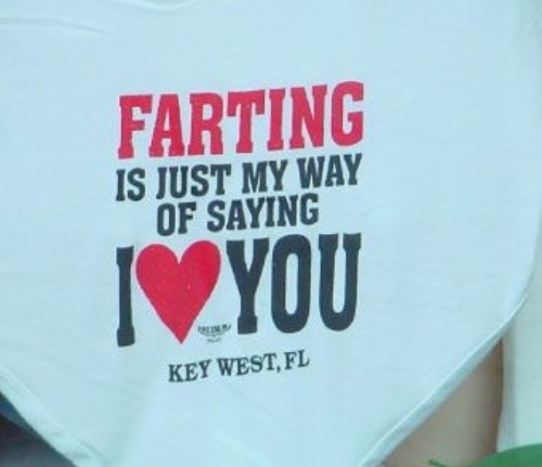 screenshot-s-media-cache-ak0.pinimg.com 2015-10-17 20-28-49