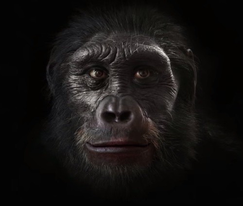 screenshot-www.youtube.com 2015-10-14 18-24-28