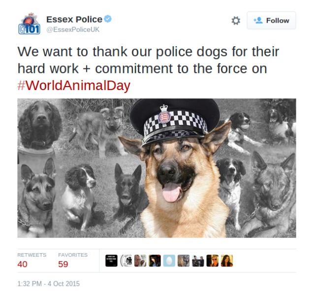 screenshot-twitter.com 2015-10-04 13-39-18