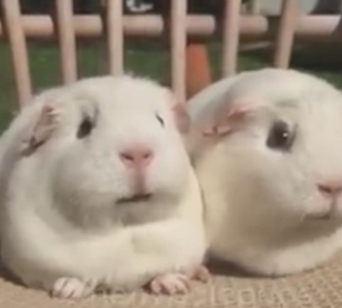 screenshot-www.facebook.com 2015-10-06 15-52-59