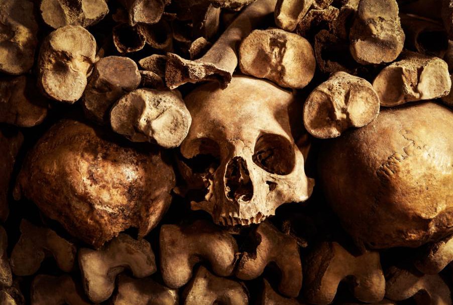 ad_183654945-e1444202650331