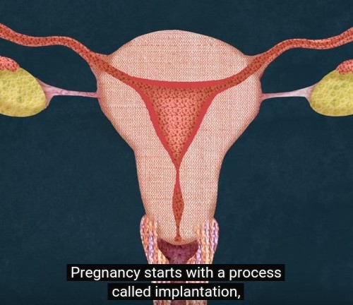 screenshot-www.youtube.com 2015-10-26 19-56-14