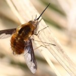 screenshot-2.bp.blogspot.com 2015-10-21 09-55-08