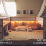 screenshot-www.wanderingtheworldbelow.com 2015-10-27 18-45-25