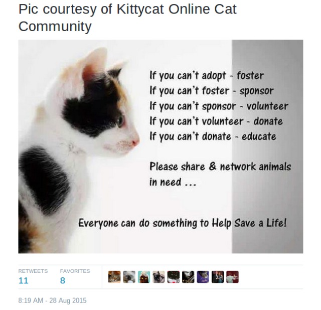 screenshot-twitter.com 2015-10-04 13-41-34