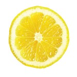 1003p48-lemon-slice-m