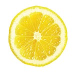 1003p48-lemon-slice-m