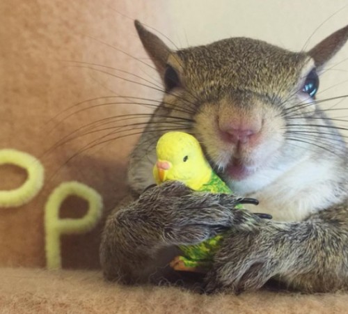 screenshot-sykur.kvennabladid.is 2015-10-11 15-43-41