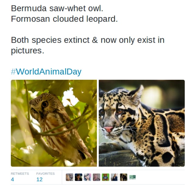 screenshot-twitter.com 2015-10-04 13-37-28